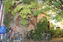 Bonifica all'ex forno comunale <br/> stanziati 9mila euro dalla giunta 