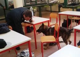 Controlli antidroga con Falco e Sir<br/>scuole portoviresi senza macchia