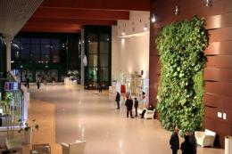 Donazione milionaria: l'ospedale diventa galleria d'arte