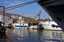 Domani vertice a Chioggia con Pan <br/> per il punto sul comparto produttivo