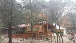Laboratorio creativo ambientale    <br/> nella suggestiva pineta di Fornaci
