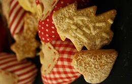 Biscotti natalizi <br/> al miele e zenzero