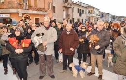 Benedetti gli animali domestici <br/> al Santuario del Pilastrello