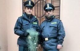 Elettroshock sui pesci <br/> poi li raccoglievano con le reti