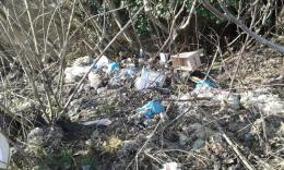 Rifiuti lungo l'argine del Po <br/> la gente: "Serve più sorveglianza"
