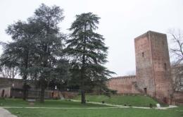 Divieto di fumo, presto anche nei parchi pubblici