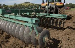 Agricoltura, Pac in ritardo <br/> associazioni sul piede di guerra