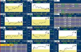 Investimenti in Borsa online <br/> condannato per truffa rodigino