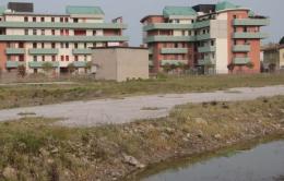 Allarme Zika in Polesine <br/> ordinanza anti zanzare