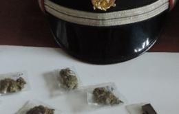 Nascosto al parco uno zaino pieno di marijuana