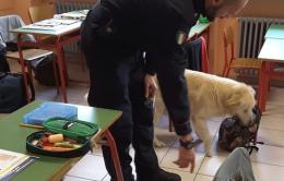 Controlli preventivi antidroga <br/> nelle scuole di Adria e Porto Viro