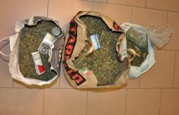 Beccato con tre chili di "maria" <br/> 48enne condannato per spaccio