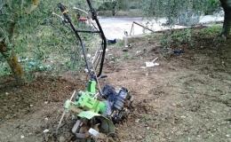 I ladri col pollice verde <br/> fanno razzia nelle periferie