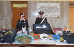 Preso con la marijuana in casa <br/> "E' per la cura di mia moglie"