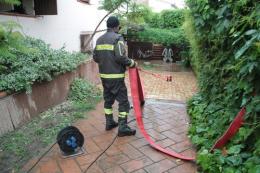 Forti temporali in Polesine <br/> rami nelle strade e allagamenti