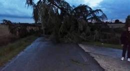 Bufera in Alto Polesine <br/> volano tetti e alberi