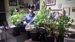 Blitz antidroga dei Carabinieri in un’abitazione <br/> denunciato un 23enne