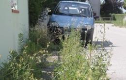 Una foresta urbana <br/> ma l'erba chi la deve tagliare?