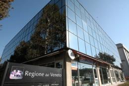I furbetti del cartellino <br/> processo al rush finale