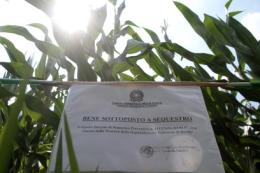 Dopo il sequestro del campo Ogm ora scattano le indagini