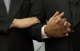 "Fragola Assassina" e "Virus", primo matrimonio gay in Polesine