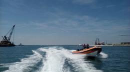 Un tonno da 50 chili "abusivo" multato il pescatore