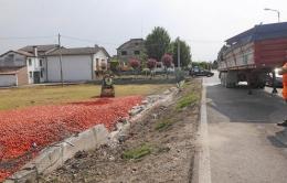 Esce di strada con tir carico di pomodori: muore 61enne camionista