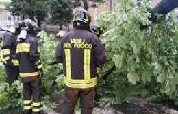 Pali e alberi sradicati, ben 20 gli interventi per il vento