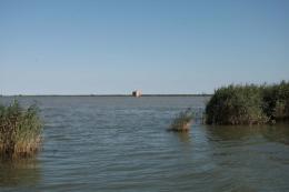 Parco del Delta unico, un passo in avanti 