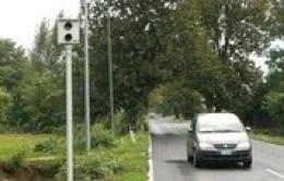 Ventitre alberi da abbattere sulla strada fra Adria e Rovigo