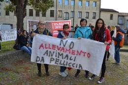 Animalisti in piazza contro l'allevamento di visoni