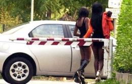 Lucciole ladre, il conflitto tra giudici rodigini va in Cassazione