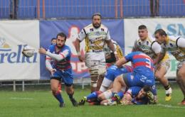 Rovigo formato "baby" in Belgio
