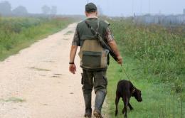 Caccia: si torna a sparare anche al colombaccio