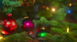 Ecco i vostri alberi di Natale: grandi, piccoli, originali. E tutti bellissimi
