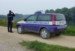 Caccia alla lepre nella zona proibita: denunciati