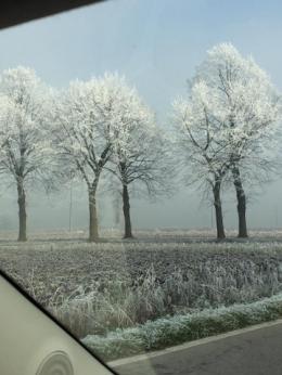 Previsioni: domani mattina (martedì 10 gennaio) neve sul Polesine