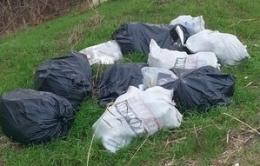 L'argine del Po come una discarica