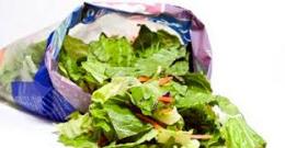 Un ragno vivo nel pacco di insalata, la scoperta choc