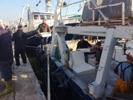 Pila, porto bloccato: pescatori esuli nel ferrarese