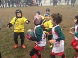 Rugby Frassinelle, un week end ricco di soddisfazioni per i piccoli atleti