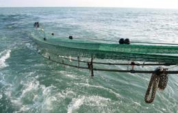 In arrivo una maggiore tutela per le piccole imprese