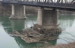 Tronchi e rami contro il pilone del ponte sull'Adige, è allarme