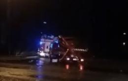 Raffiche di bora a Porto Tolle, alberi e pali abbattuti