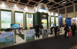 Fruit logistica di Berlino, Insalata Igp: un successo mondiale