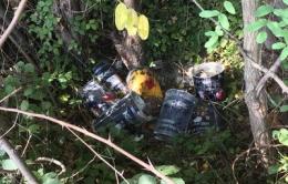 Rifiuti abbandonati, dopo 5 mesi parte la bonifica