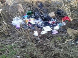 Loreo, un angolo verde trasformato in discarica