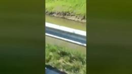 In bici con una nutria gigante morta sul portapacchi
