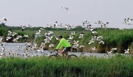 Nasce il comitato “No Pfas nel Delta” 