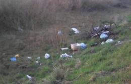 Discarica a cielo aperto a Polesine Camerini